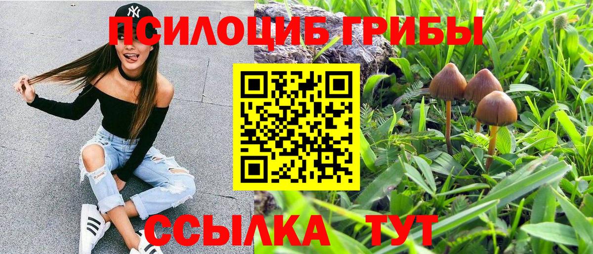 Галлюциногенные грибы GOLDEN TEACHER Кохма